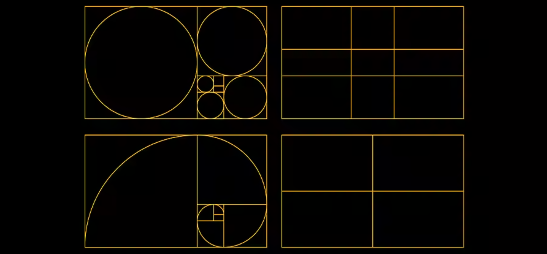 An introduction to the golden ratio.
