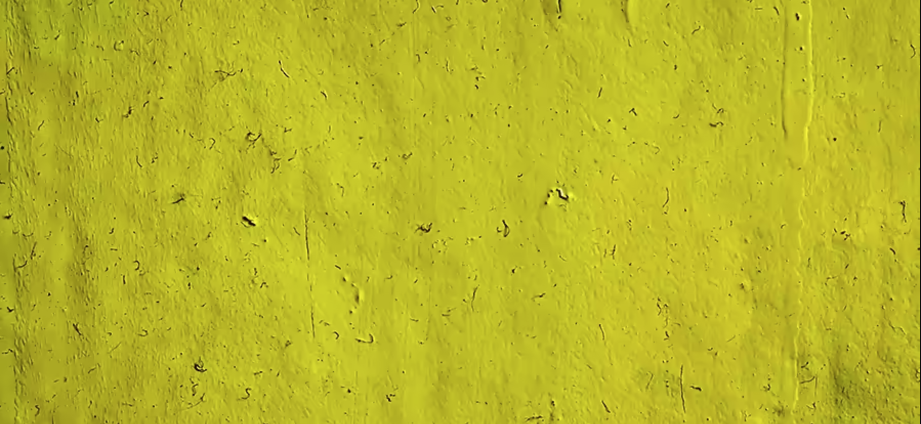 But what colour is chartreuse?
